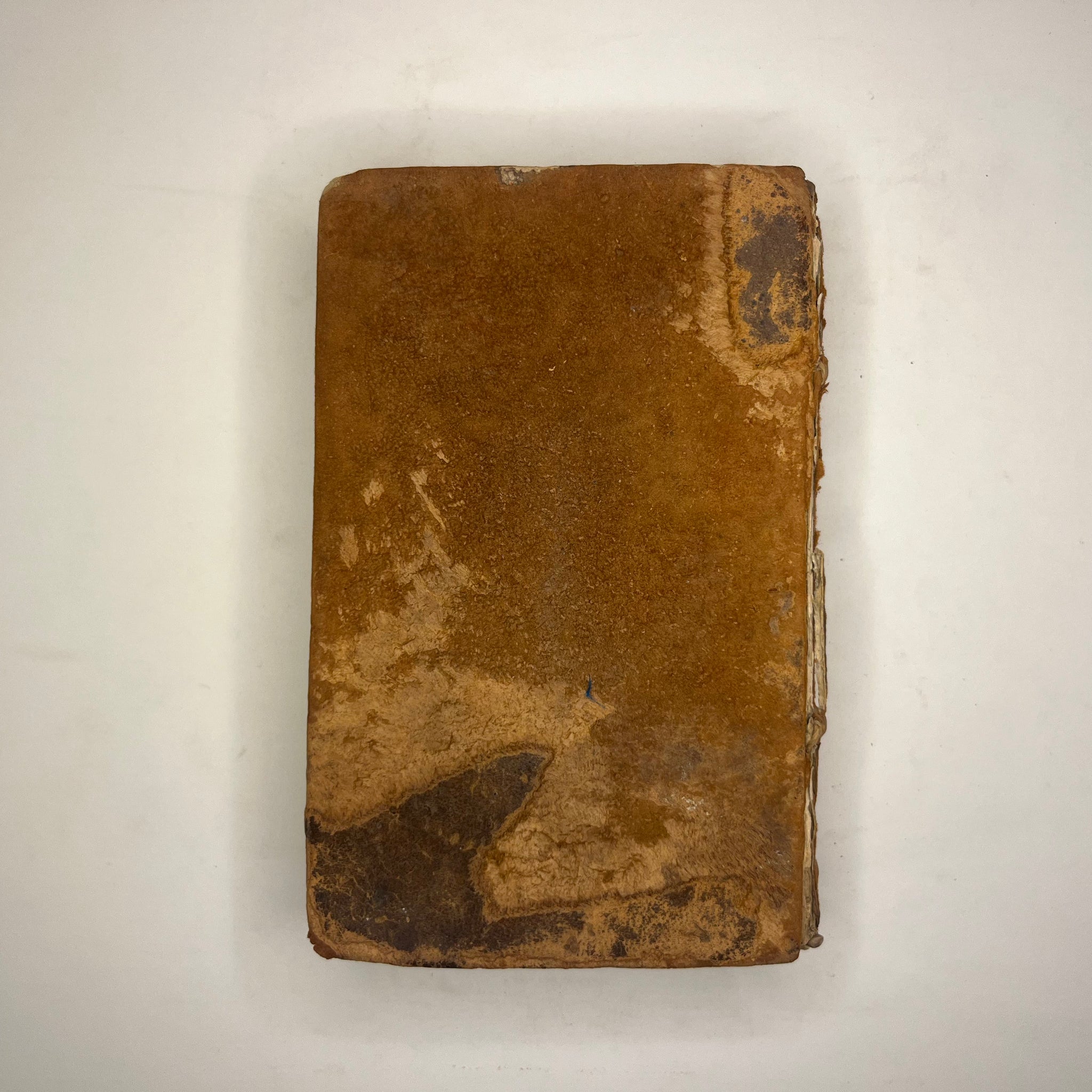 1635 Miroir De Discipline Aux Novices by St. Bonaventure
