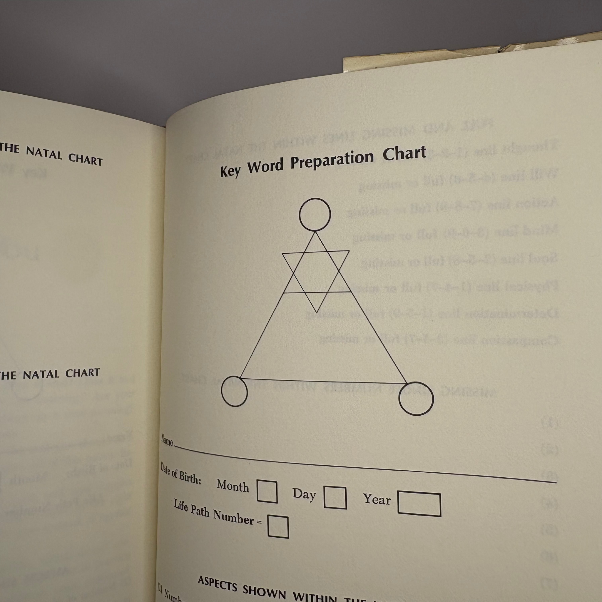 1980 Mark Gruner's Numbers Of Life