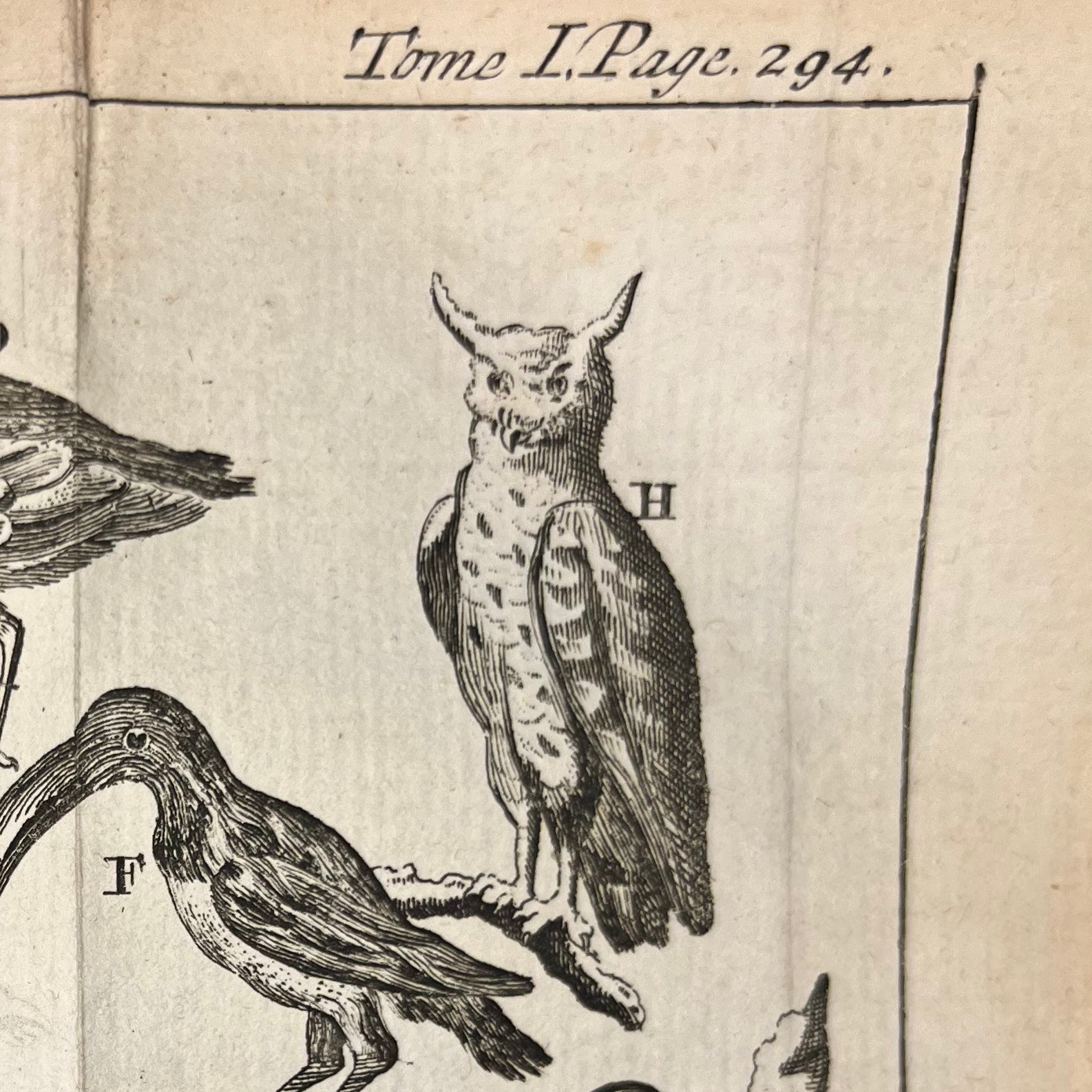 1771 Le Spectacle de la Nature by Noel-Antoine Pluche Tome 1