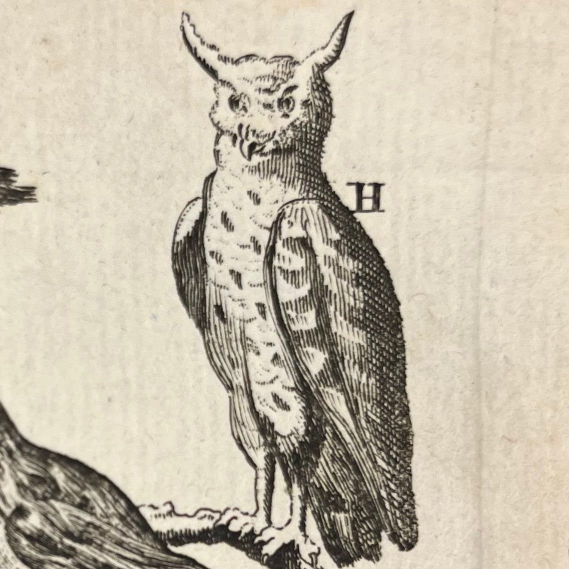 1771 Le Spectacle de la Nature by Noel-Antoine Pluche Tome 1