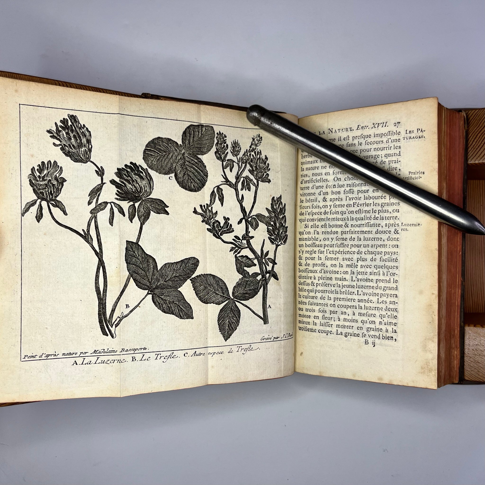 1771 Le Spectacle de la Nature by Noel-Antoine Pluch Tome 3