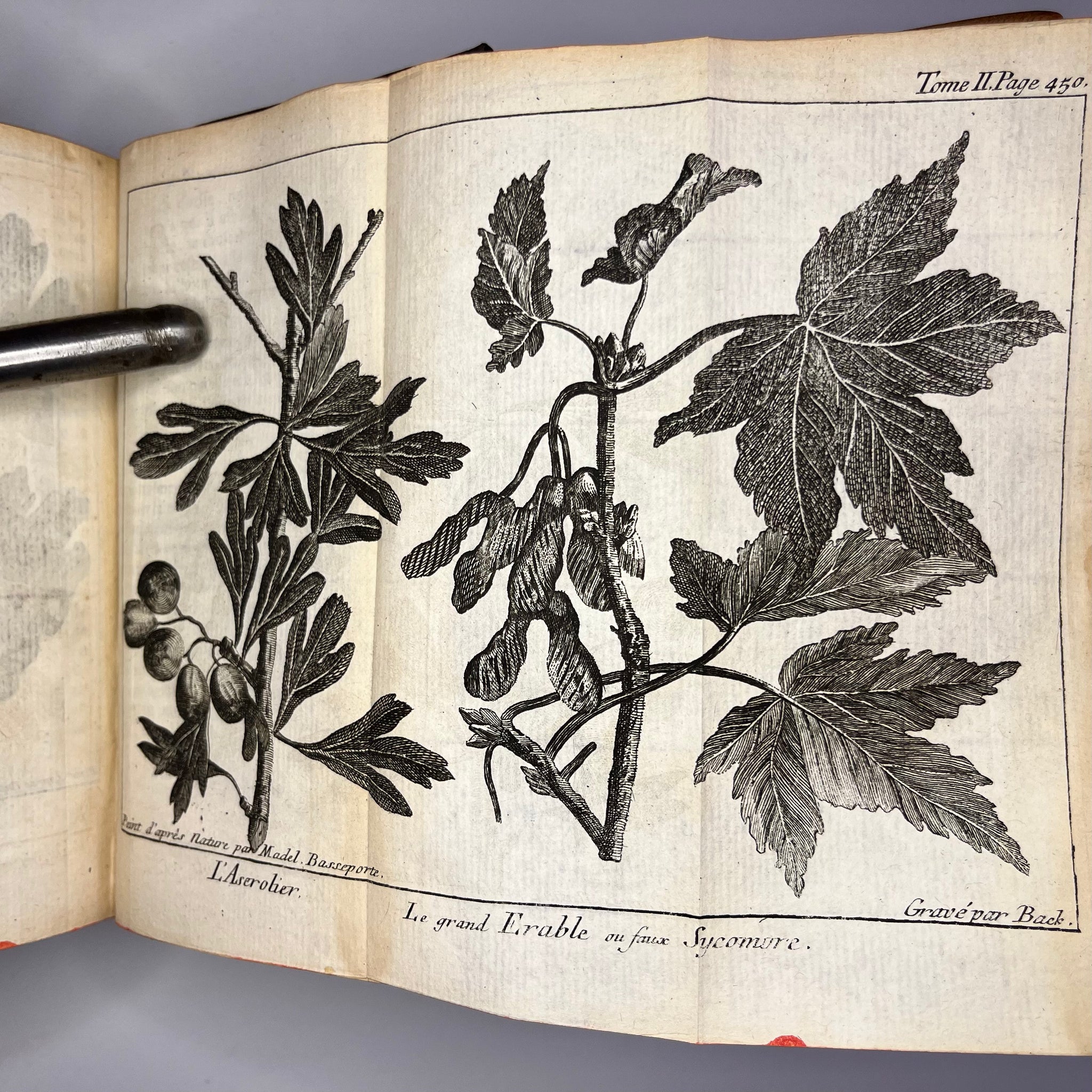 1771 Le Spectacle de la Nature by Noel-Antoine Pluch Tome 2