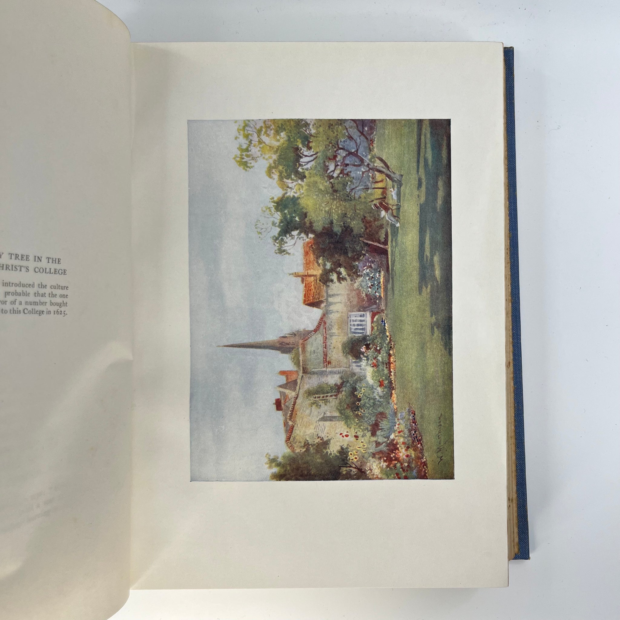 1907 Cambridge by Mar Tuker Illustrated by W. Matthison